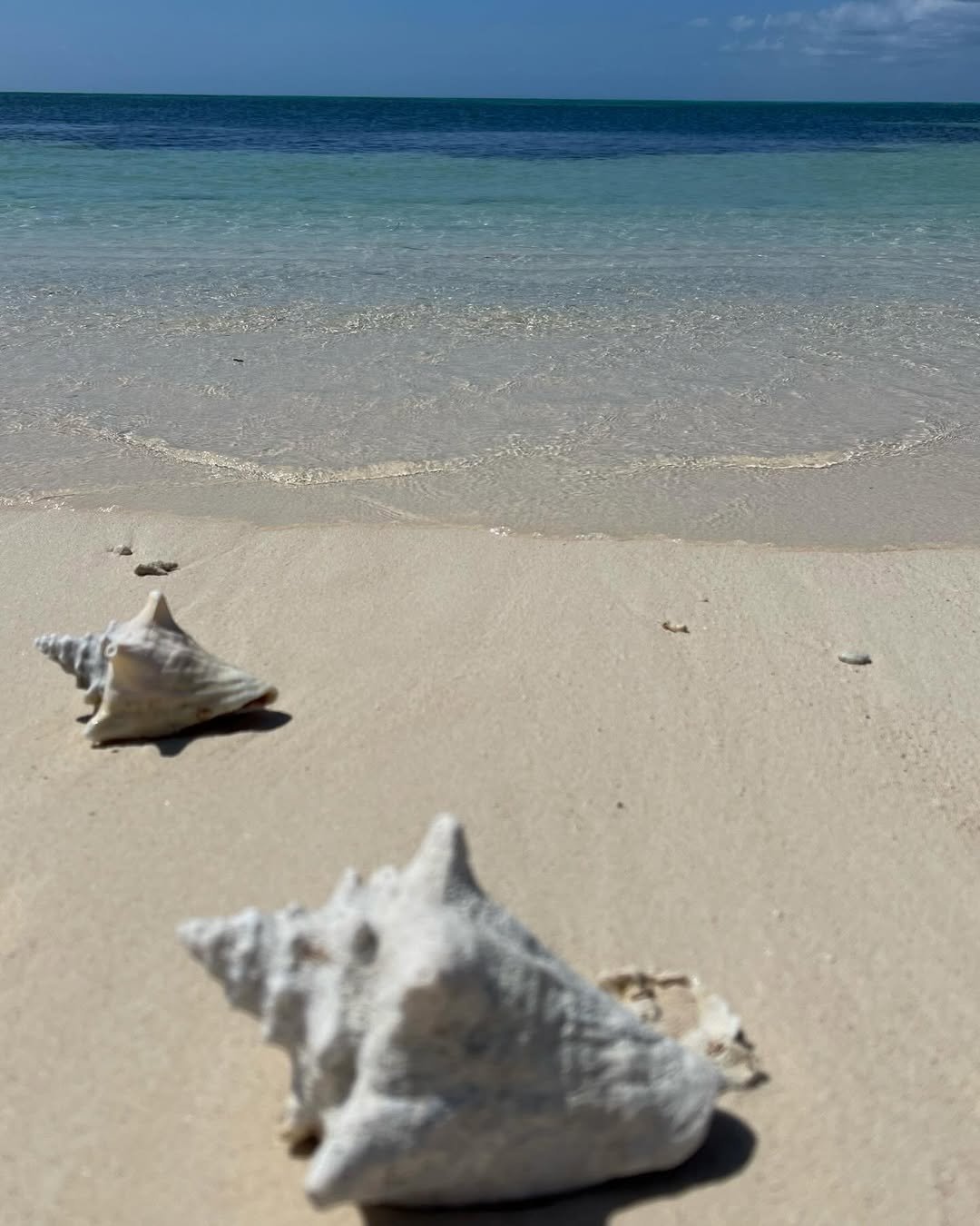 Beaches in Cancún