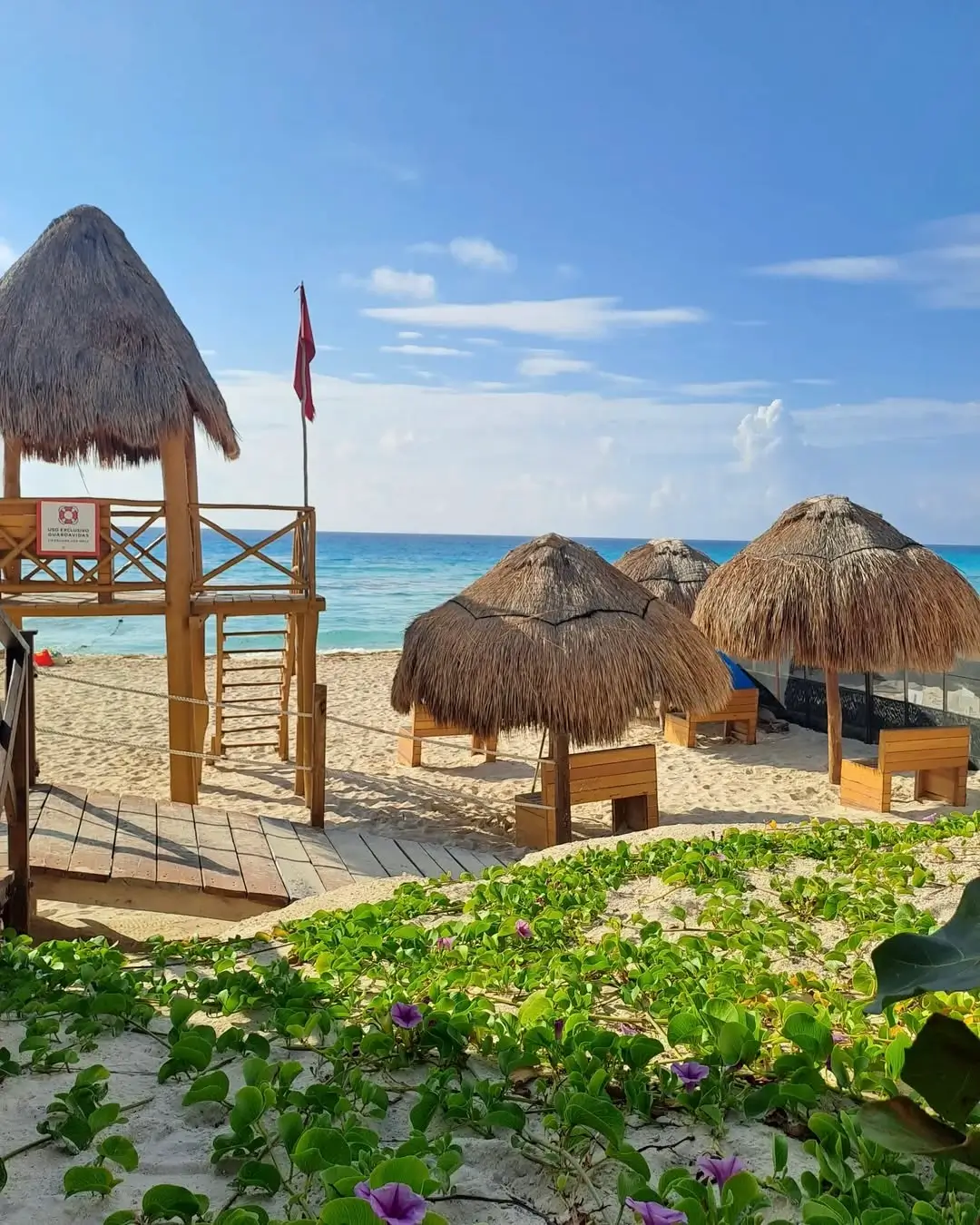 Playa Ballenas