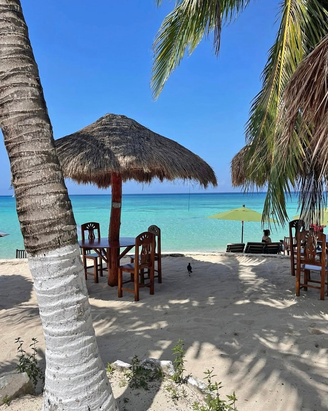 Playa Langosta