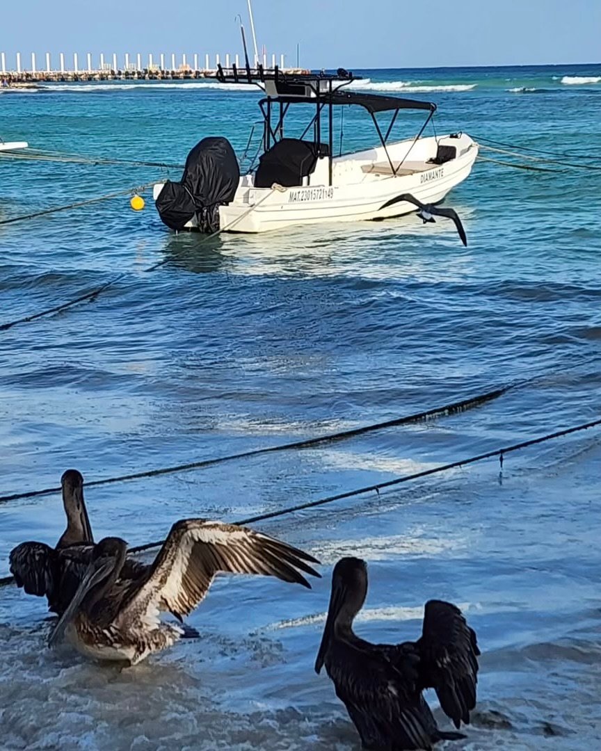 Beaches in Playa del Carmen
