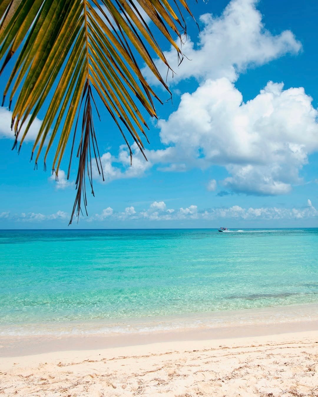 Beaches in Costa Mujeres