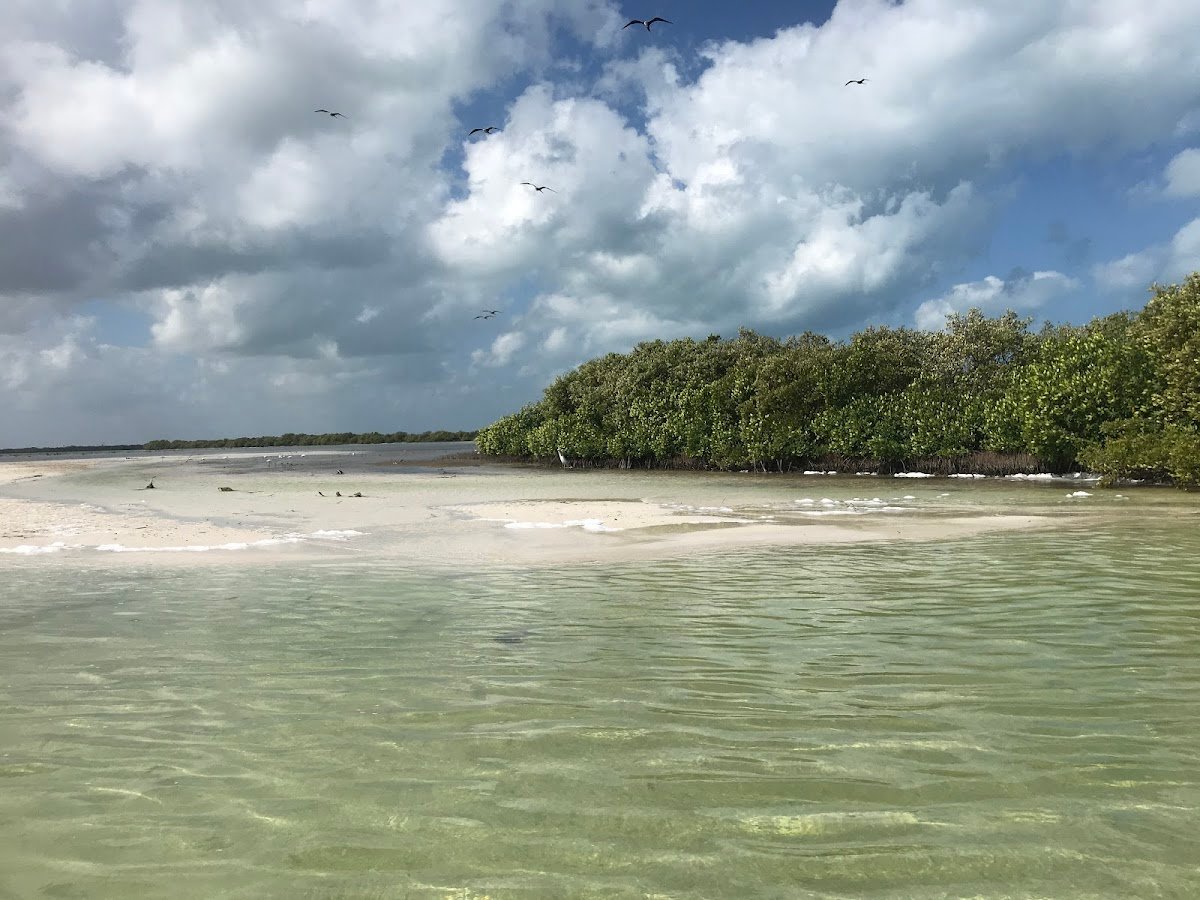 Beaches in Holbox